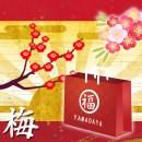 -梅- 豪華初売!! 女装福袋