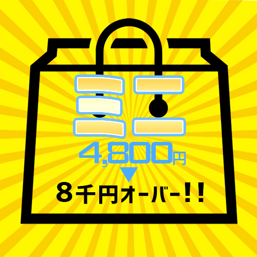 超豪華!! サマーバーゲン福袋 -ミニ-
