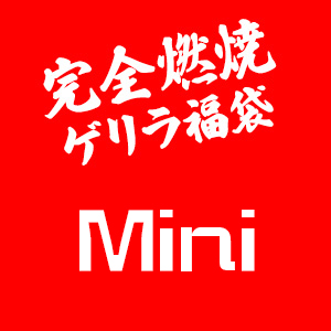 夏準備! ラストチャンス♪ 完全燃焼ゲリラ福袋  -ミニ-