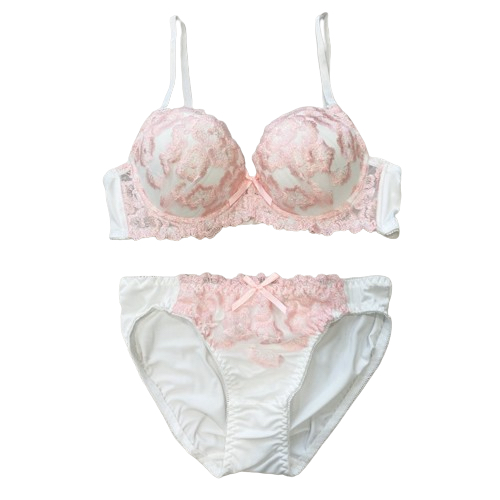 【女装サイズ】 大人可愛い清楚系 ブラショーツセット