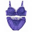 【女装サイズ】 お嬢様系 光沢切り替えブラショーツセット☆