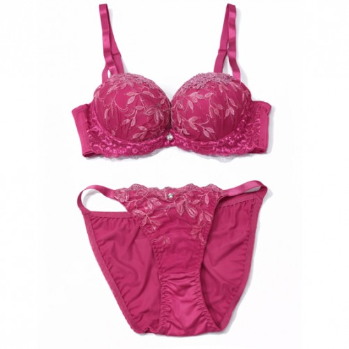 【女装サイズ】 フローリッシュカラーブラショーツセット ピンクレッド