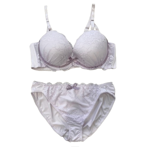 【女装サイズ】　少女系リボンフレーム ブラショーツセット